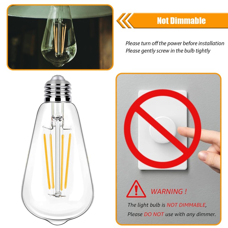 winsaLED 12 Pack 100 Watt Equivalent LED Edison Bulbs, 9W