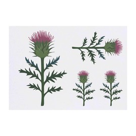 4 x 'Single Scottish Thistle' Temporary Tattoos - Water Resistant, Skin-Safe, Non-Toxic Transfers, Mixed Sizes (TO00082680)