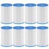 Cold Plunge Filter 20 Micron 5" x 2.5" Water Filter
