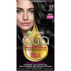 Garnier Olia Ammonia-Free Brilliant Color Oil-Rich Permanent Hair Color, 2.0