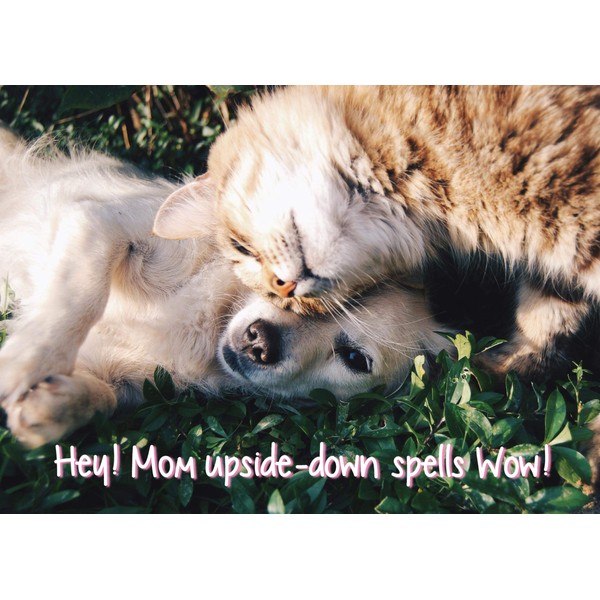Glory To Dog Hey! Mom Upside Down Spells Wow! Up or Down, You're the Best Mother's Day Greeting Card