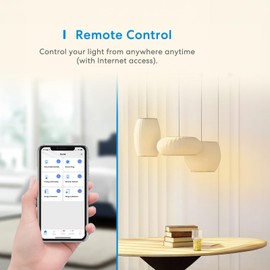 meross Wi-Fi Relay WLAN Switch, Relay Module for Smart Home, Compatible with Apple HomeKit, Alexa and Hey Google, Surface/Flush-Mounted, Voice and Remote Control, 2.4 GHz, 1 Pack