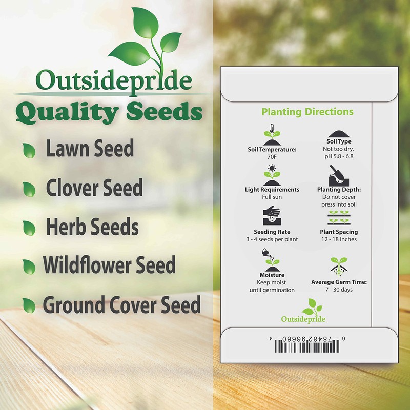 Outsidepride 5000 Seeds Annual Rudbeckia Green Eyes Flower Seeds for