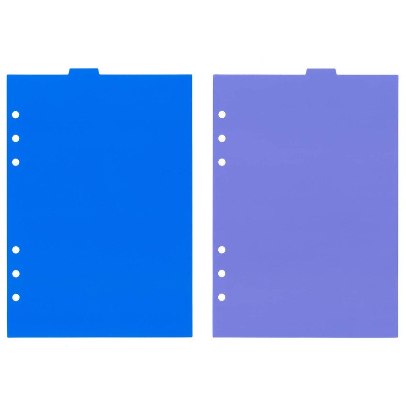 Raymay Fujii Da Vinci Notebook Refill, Color Index, 6 Sections,