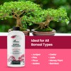32oz Bonsai Fertilizer Liquid - Makes 192 Gallons of Bonsai