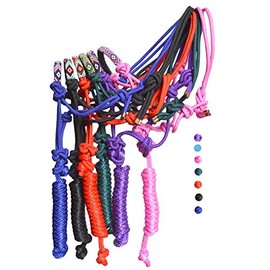 Nylon Horse Braided Rope Halter Beaded Noseband Lead Rope (Turquoise A)
