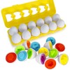 12 x Flex Matching Eggs Colour & Shape Sorter| Montessori