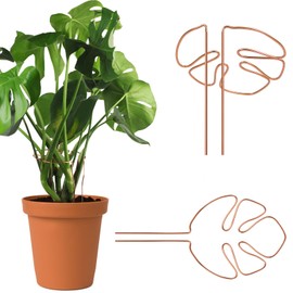 2 pcs Monstera Plant Support,Unique Monstera Shaped Plant Support Ring,Plant Support Stakes for Outdoor Plants and Indoor Plants (Copper)