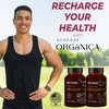 ACREAGE ORGáNICA Fruits and Veggies Supplement | Packed with 36