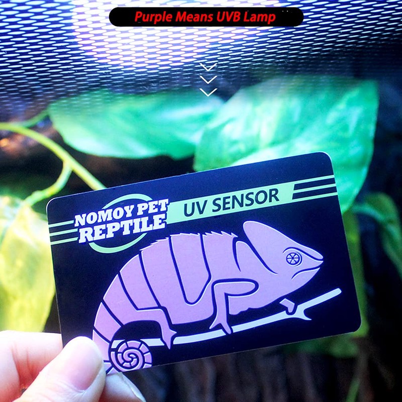 DQITJ 4 Pcs Quick Test UVB Sensor, Reptile UV Tester