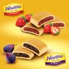 Newtons Soft & Fruit Chewy Fig & Strawberry Cookies Variety
