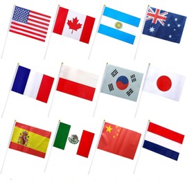 25 Countries Flags,National of the World Mini HandHeld Flags,Festival Celebrations Necessary Decoration,Includes Most of The Countries in The World,8.2 x 5.5. Inch.