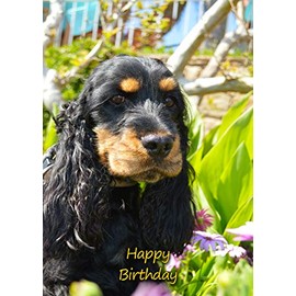 Cocker Spaniel Dog Birthday Greeting Card