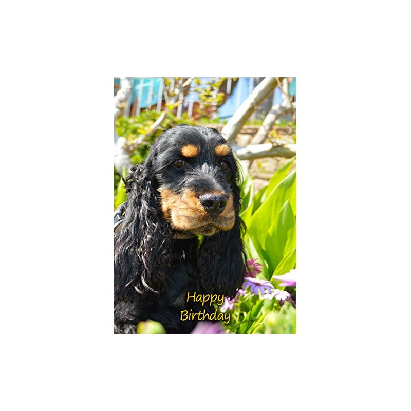 Cocker Spaniel Dog Birthday Greeting Card