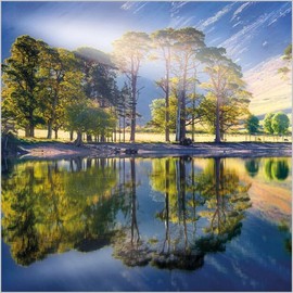 Abacus Cards General Male/Female Blank/Birthday Card - Reflected Trees, Buttermere, The Lake District - Eco-Friendly & Recyclable - From the BBC Countryfile Range