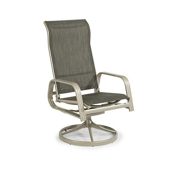 Homestyles 6700-55 Captiva Outdoor Swivel Rocking Chair, 23.5Lx25.5Dx44H, Gray