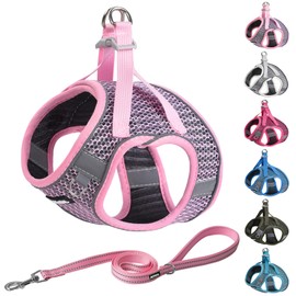 AIITLE Extra Small Dog Harness - Step in Vest Harness with A Leash, Reflective Bands, Soft Breathable Pet Supplies, Outdoor Pet Vest for Extra Small Dogs and House Cats Pink XXXS