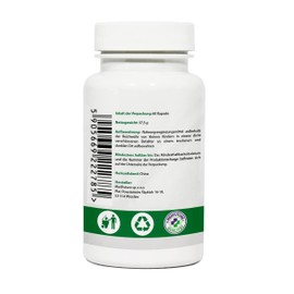 BERG ROSE Rhodiola Rosea Extract 500 mg 60 Capsules