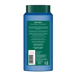 Biotique Ocean Kelp Anti Hairfall Shampoo | Intensive Hair Growth Therapy| Anti Hairfall Shampoo that Maintains Shine |100% Botanical Extracts | Suitable for All Hair Types |340ml