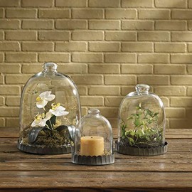 Park Designs Glass Bell Cloche - 9.5" H