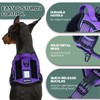 BUMBIN Tactical Dog Harness for Large Dogs No Pull, Famous