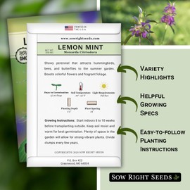 Sow Right Seeds Sow Right Seeds - Lemon Mint Seed for Planting - Non-GMO Heirloom with Packet with Instructions to Plant and Grow an Herbal Tea Garden - Indoors or Outdoor - Monarda to Attract Pollinators (1)