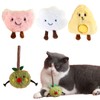 4PCS Cat Catnip Toys for Indoor Cats, Plush Cat Chew