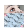 False Eyelashes Natural False Eyelashes Natural Eyelashes