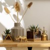 Kusso Gold Rhino Ornament Decoration for Home Bedroom, Bathroom Living