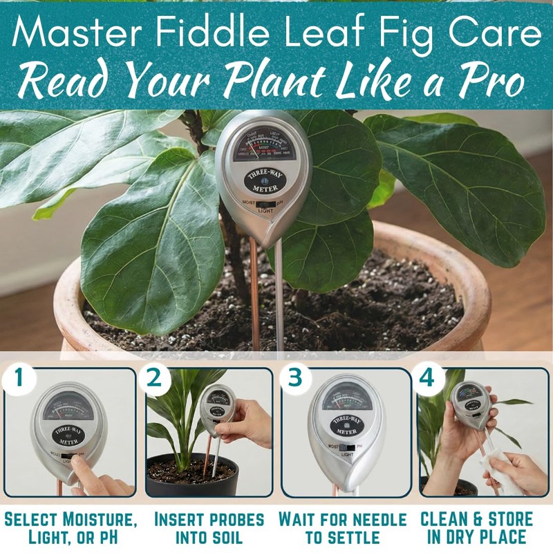 Houseplant Resource Center Fiddle Leaf Fig 3-in-1 Soil Moisture Meter