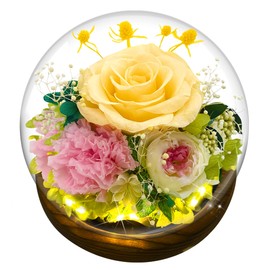 Ewige Rose im Glas, Ewige Rose Geschenke mit LED-Licht, Konservierte Echte Rosen Blume Infinity Rose Geburtstagsgeschenk für Frauen Valentinstag Jahrestag Muttertagsgeschenk für Mama (Gelb)