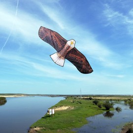 Besra 74inch Eagle Kite Bird Kite with Flying Tools Outdoor Fun Sports for Beach (Eagle)