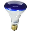 Westinghouse 0466800, 75 Watt, 130 Volt Blue Incandescent BR30 Light