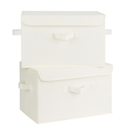 GRANNY SAYS Storage Bins with Lids, Fabric Storage Boxes, Closet Organizers and Storage, Storage Baskets for Shelves, Toy Box, Ivory White, 2-Pack