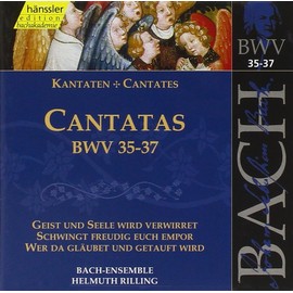 Bach: Cantatas, BWV 35-37 (Edition Bachakademie Vol 12) /Rilling