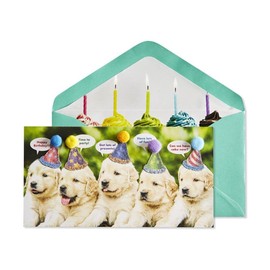 NIQUEA.D, Row of Puppies Birthday Card