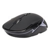 Wireless Gaming Mouse 3 Level Adjustable DPI RGB Color Backlit
