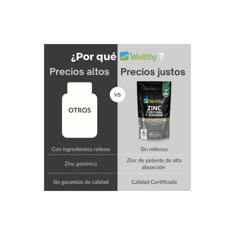 Zinc, Curcuma Y Jengibre 120 Caps Wellthy