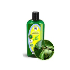 4 fl oz (120ml) Tamanu (Foraha) Oil for Skin, Face Moisturizer