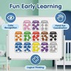 Magnetic Colour Sorting,10 Pcs Fridge Magnets with 50 Vibrant Learning
