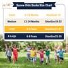Sunew Baby Toddler Socks, Boys or Girls Kids 6 Pack