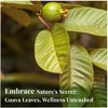 Akshit Organic Dried Guava Leaves, 7.8 oz, Hojas De Guayaba,