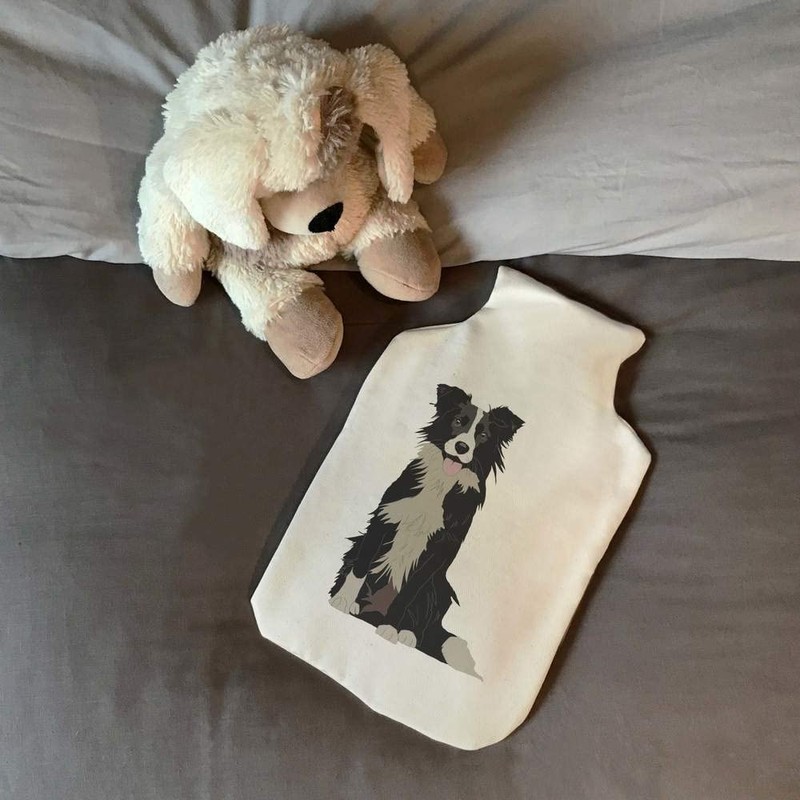 'Border Collie' Hot Water Bottle Cover (HW00022720)