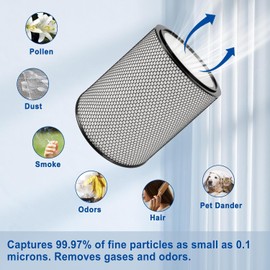 BP03 BP04 Replacement Filter Compatible with Dyson BP03 BP04 Big+Quiet Air Purifier, True H13 High Efficiency and Activated Carbon Filter, Part # 972132-01