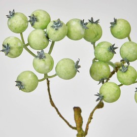 Tokyodo FM007582-zzz Artificial Flowers MAGIQ Green Smoke Berry Short, Frost Green, L 13.8 inches (35 cm)