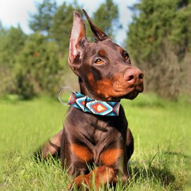 1.5 Inches Martingale Collar for Dogs,Adjustable Heavy Duty Training Collars with Blue African Tribal Mexican Native Boho Pattern, No Slip Dog Collar Perfect for Training, Walking, Hunting(M)