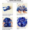 PUZINE 4 Pack 13" Cheerleading Metallic Foil & Plastic Ring