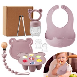 LittlesJoy Silicone Baby Fruit Feeder Set with Mini Freedzer Nibble Tray, Breastmilk Popsicle Mold with Baby Bib and Pacifier Clip, BPA Free Teether for Safe Infant Self Feeding, 4 Month+(Dusty Lilac)