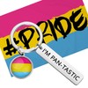 Pansexual Jewelry Pansexual Pride Gift I'm Pantastic Keychain Pensexual Flag