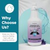 Steam & Go Demineralized Water for Steam Cleaner - PVC-Free